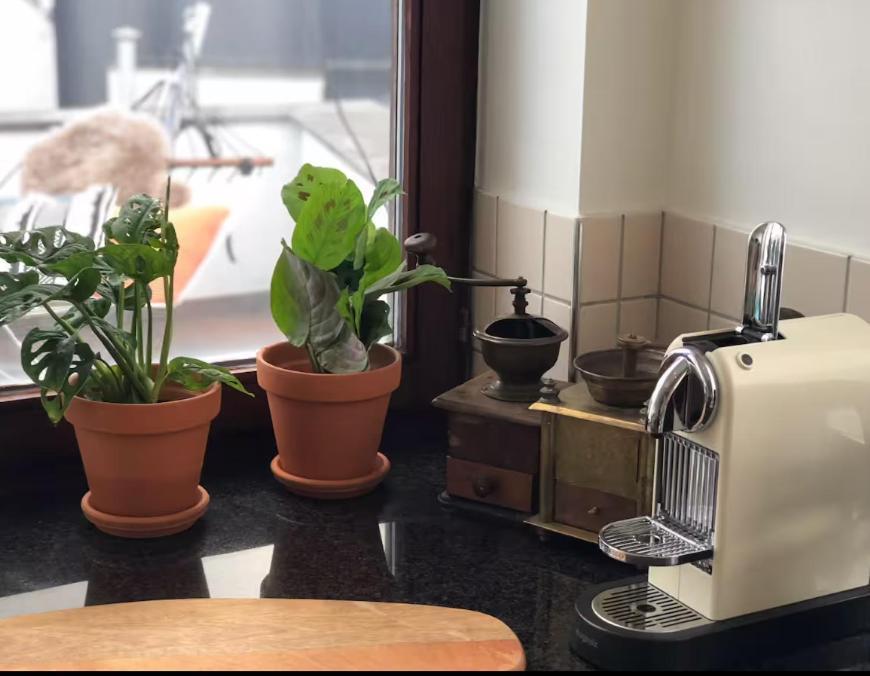 Appartement Cozy & Spacious Duplex With An Amazing Terrace Antwerpen