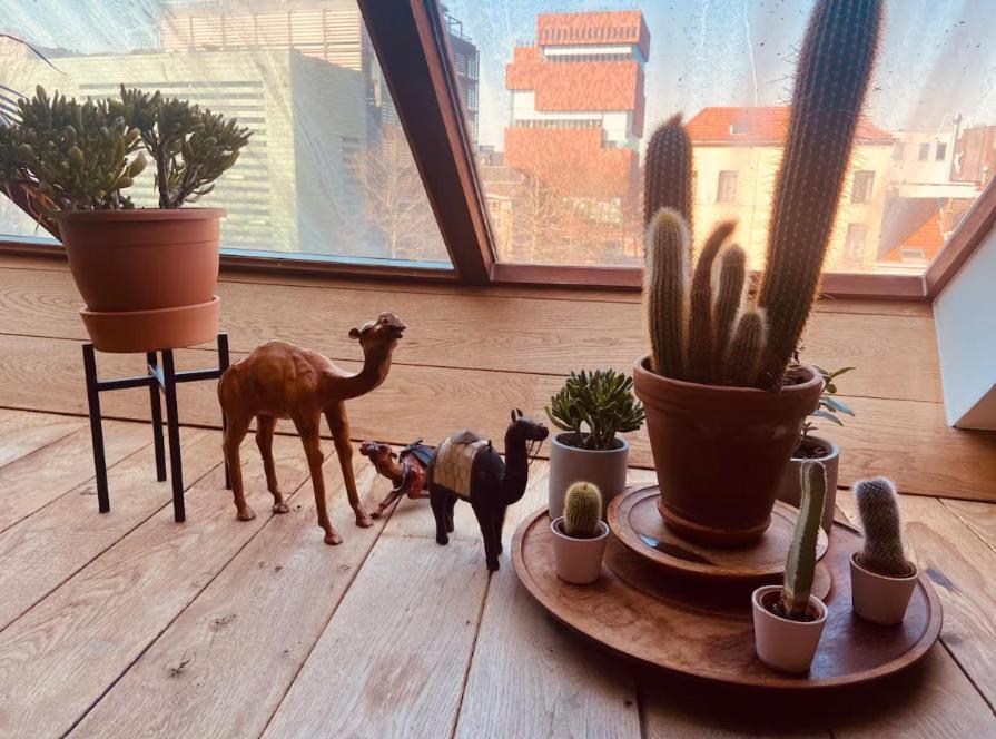 Cozy & Spacious Duplex With An Amazing Terrace Appartement
